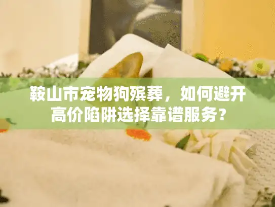 鞍山市宠物狗殡葬，如何避开高价陷阱选择靠谱服务？