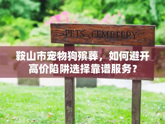 鞍山市宠物狗殡葬，如何避开高价陷阱选择靠谱服务？