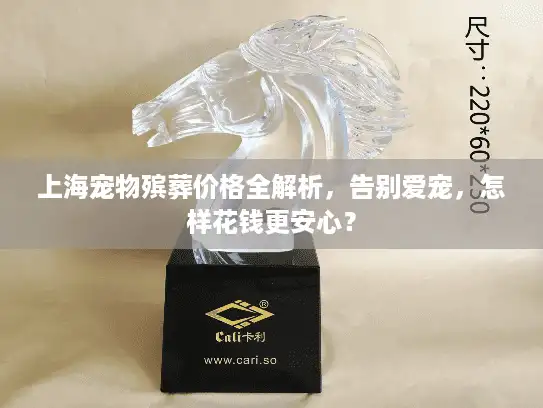 上海宠物殡葬价格全解析，告别爱宠，怎样花钱更安心？