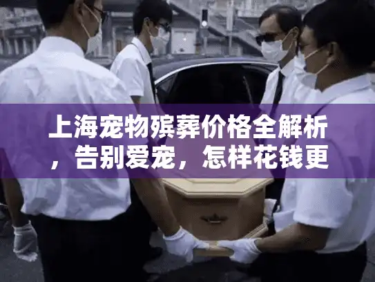 上海宠物殡葬价格全解析，告别爱宠，怎样花钱更安心？