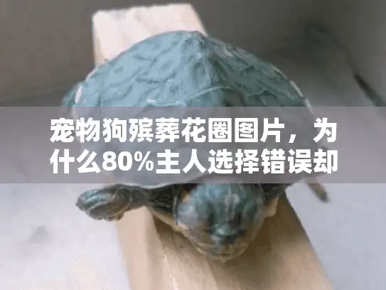 宠物狗殡葬花圈图片，为什么80%主人选择错误却浑然不知？
