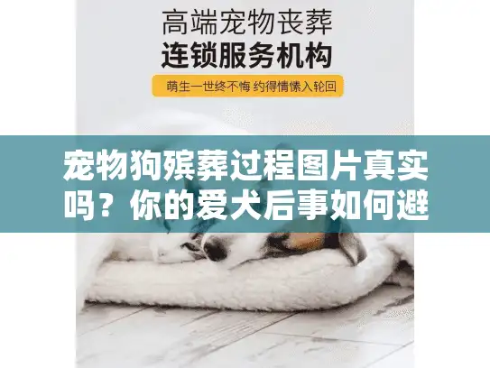 宠物狗殡葬过程图片真实吗？你的爱犬后事如何避坑防骗