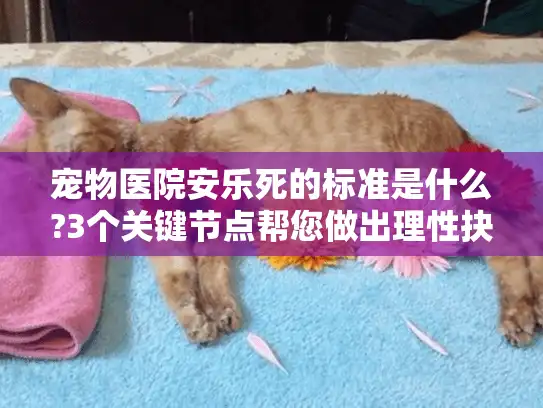 宠物医院安乐死的标准是什么?3个关键节点帮您做出理性抉择
