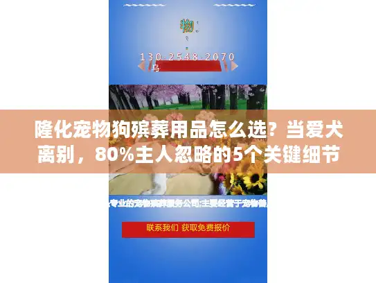 隆化宠物狗殡葬用品怎么选？当爱犬离别，80%主人忽略的5个关键细节