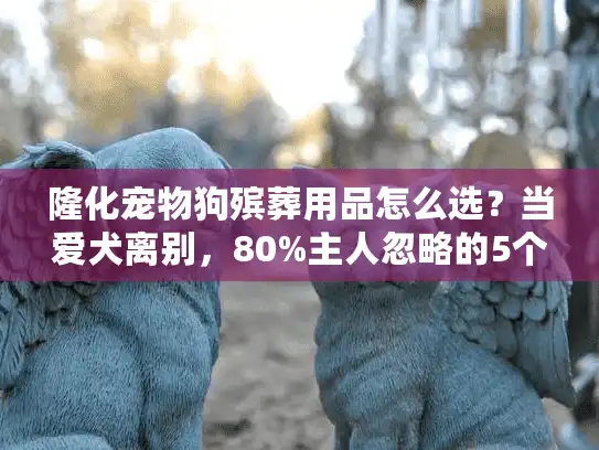 隆化宠物狗殡葬用品怎么选？当爱犬离别，80%主人忽略的5个关键细节