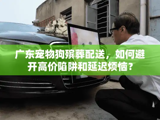广东宠物狗殡葬配送，如何避开高价陷阱和延迟烦恼？