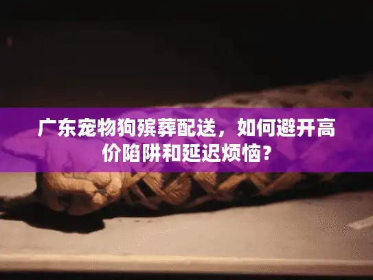 广东宠物狗殡葬配送，如何避开高价陷阱和延迟烦恼？