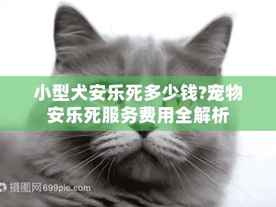 小型犬安乐死多少钱?宠物安乐死服务费用全解析