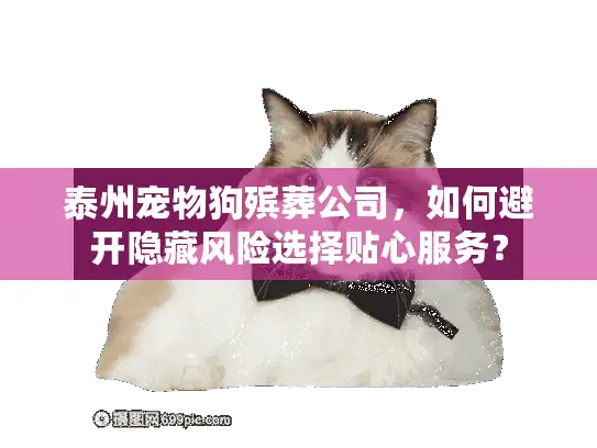 泰州宠物狗殡葬公司，如何避开隐藏风险选择贴心服务？