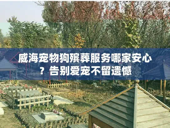 威海宠物狗殡葬服务哪家安心？告别爱宠不留遗憾