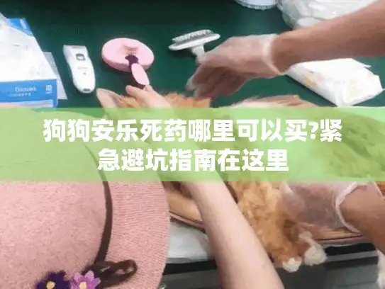 狗狗安乐死药哪里可以买?紧急避坑指南在这里