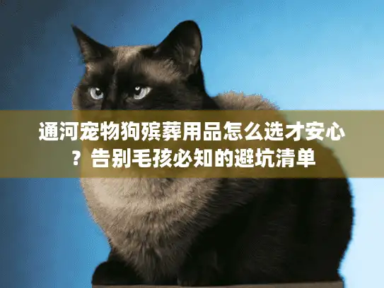 通河宠物狗殡葬用品怎么选才安心？告别毛孩必知的避坑清单