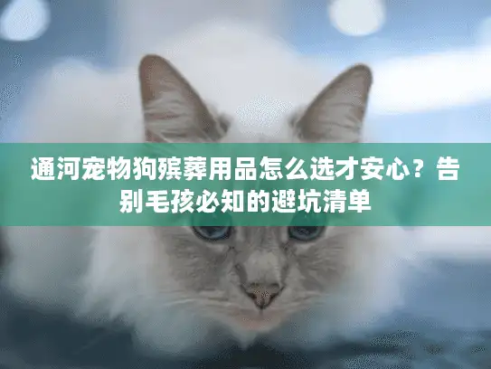 通河宠物狗殡葬用品怎么选才安心？告别毛孩必知的避坑清单