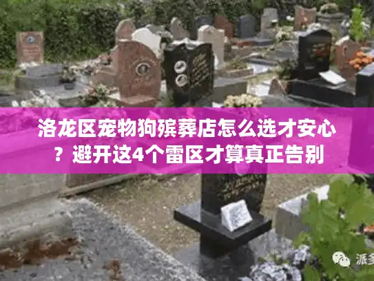 洛龙区宠物狗殡葬店怎么选才安心？避开这4个雷区才算真正告别