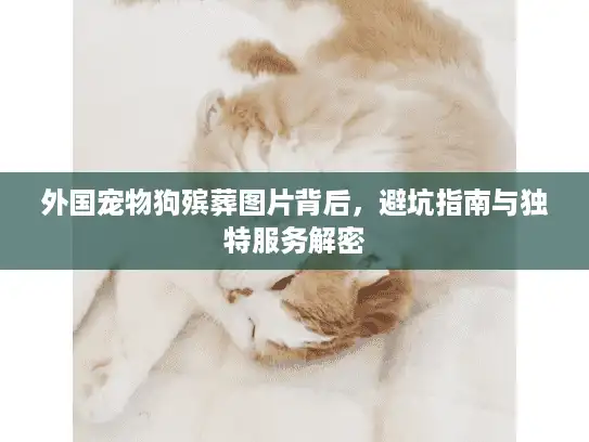 外国宠物狗殡葬图片背后，避坑指南与独特服务解密