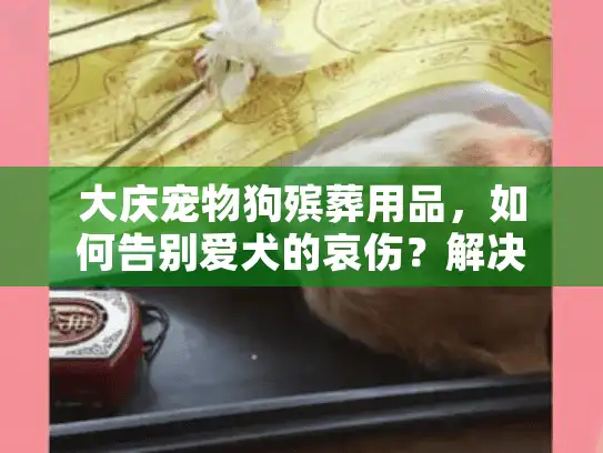 大庆宠物狗殡葬用品，如何告别爱犬的哀伤？解决隐藏痛点指南