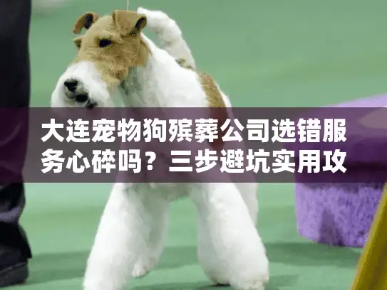 大连宠物狗殡葬公司选错服务心碎吗？三步避坑实用攻略