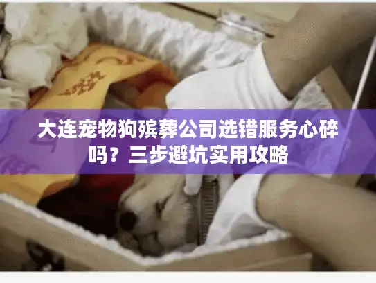 大连宠物狗殡葬公司选错服务心碎吗？三步避坑实用攻略