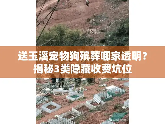 送玉溪宠物狗殡葬哪家透明？揭秘3类隐藏收费坑位