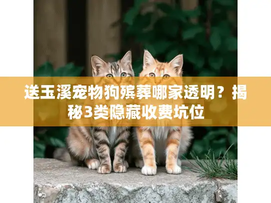 送玉溪宠物狗殡葬哪家透明？揭秘3类隐藏收费坑位