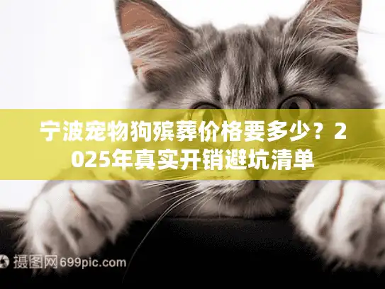 宁波宠物狗殡葬价格要多少？2025年真实开销避坑清单
