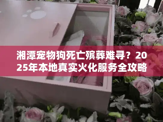 湘潭宠物狗死亡殡葬难寻？2025年本地真实火化服务全攻略