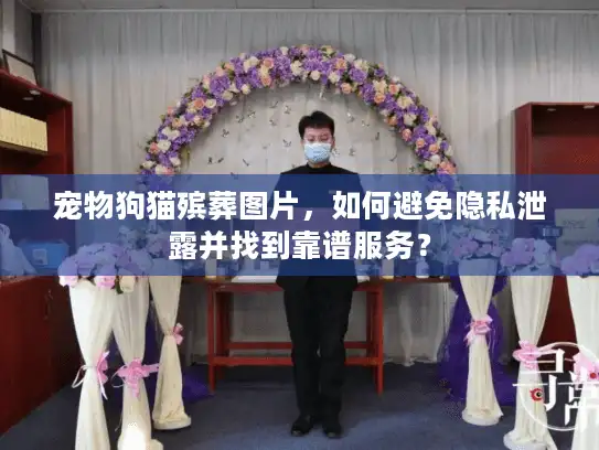 宠物狗猫殡葬图片，如何避免隐私泄露并找到靠谱服务？
