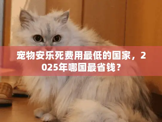 宠物安乐死费用最低的国家，2025年哪国最省钱？