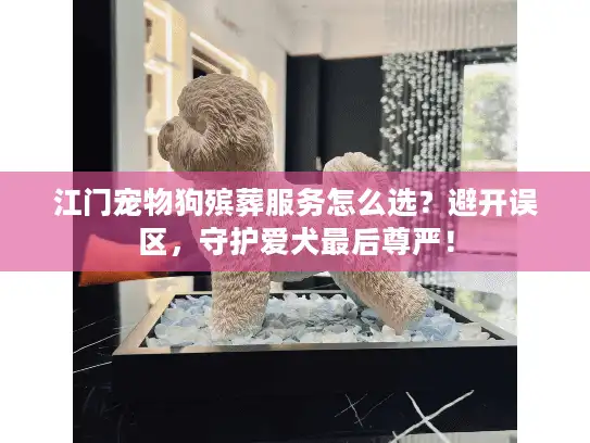 江门宠物狗殡葬服务怎么选？避开误区，守护爱犬最后尊严！