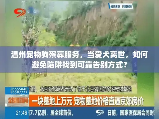 温州宠物狗殡葬服务，当爱犬离世，如何避免陷阱找到可靠告别方式？