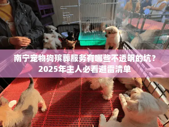 南宁宠物狗殡葬服务有哪些不透明的坑？2025年主人必看避雷清单