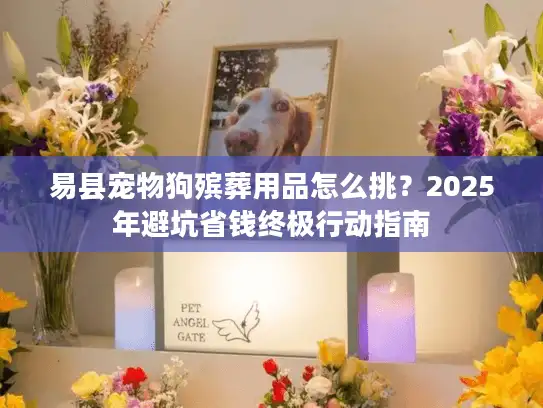 易县宠物狗殡葬用品怎么挑？2025年避坑省钱终极行动指南