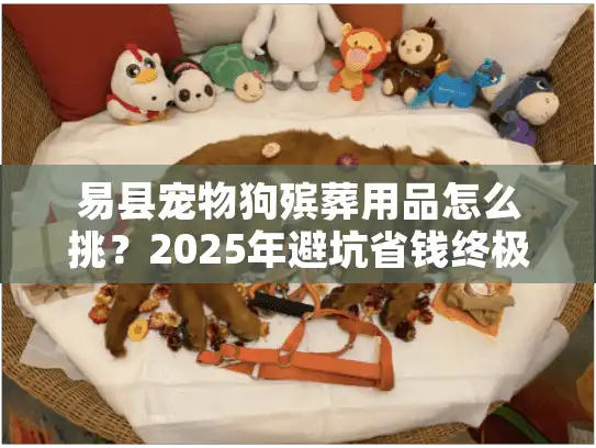 易县宠物狗殡葬用品怎么挑？2025年避坑省钱终极行动指南