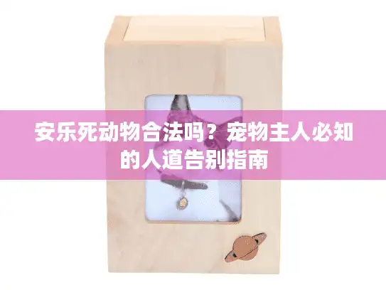 安乐死动物合法吗？宠物主人必知的人道告别指南