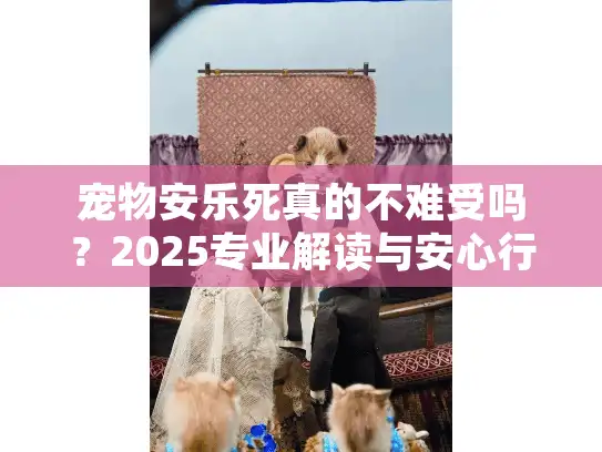 宠物安乐死真的不难受吗？2025专业解读与安心行动指南