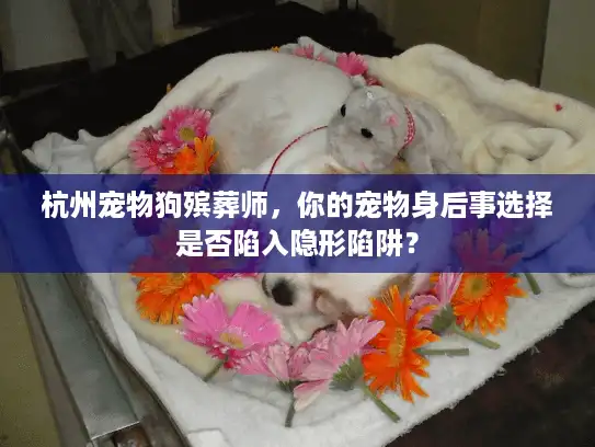 杭州宠物狗殡葬师，你的宠物身后事选择是否陷入隐形陷阱？