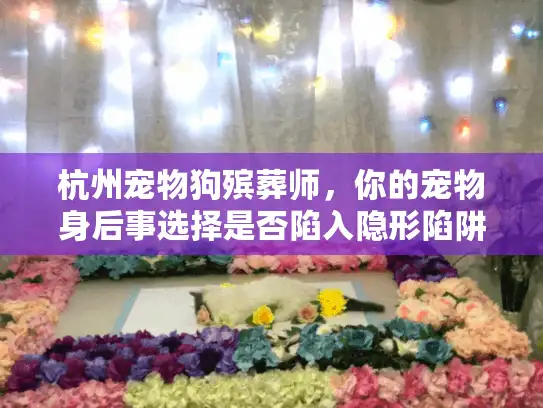 杭州宠物狗殡葬师，你的宠物身后事选择是否陷入隐形陷阱？
