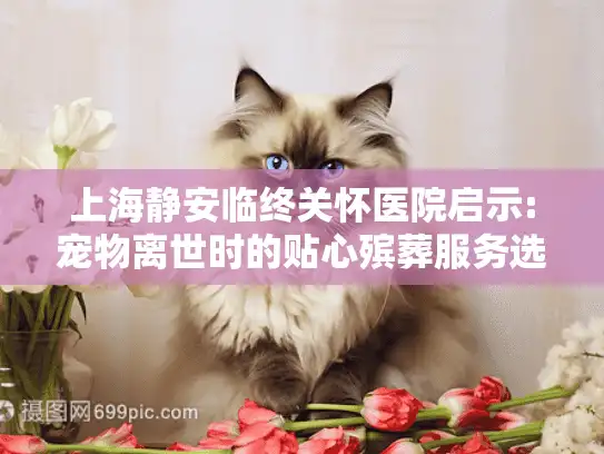 上海静安临终关怀医院启示:宠物离世时的贴心殡葬服务选择