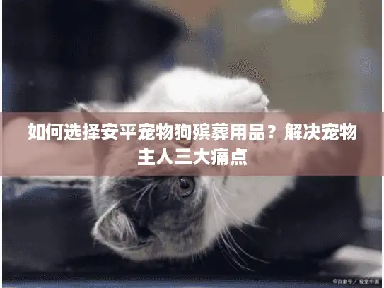 如何选择安平宠物狗殡葬用品？解决宠物主人三大痛点