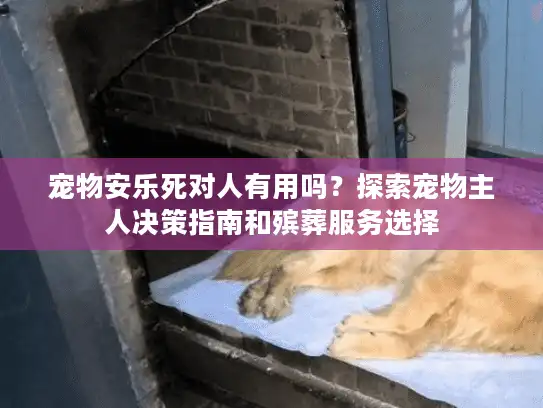 宠物安乐死对人有用吗？探索宠物主人决策指南和殡葬服务选择