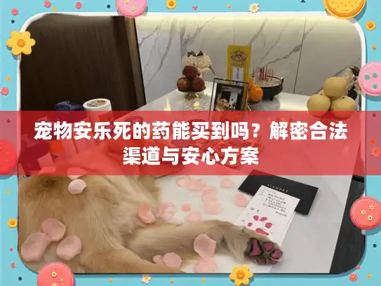 宠物安乐死的药能买到吗？解密合法渠道与安心方案