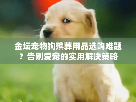 金坛宠物狗殡葬用品选购难题？告别爱宠的实用解决策略
