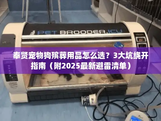 奉贤宠物狗殡葬用品怎么选？3大坑绕开指南（附2025最新避雷清单）