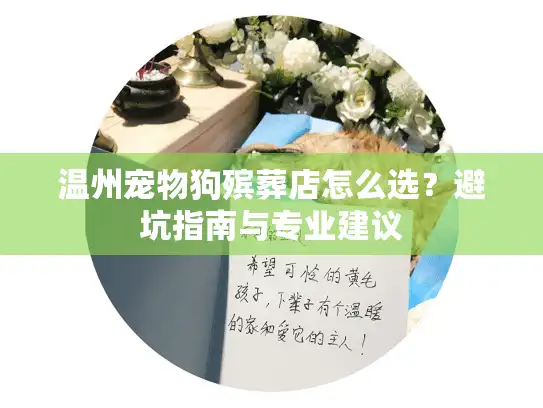 温州宠物狗殡葬店怎么选？避坑指南与专业建议
