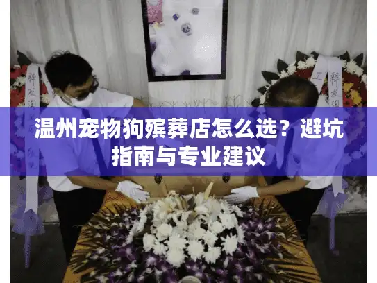 温州宠物狗殡葬店怎么选？避坑指南与专业建议