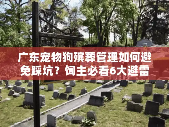 广东宠物狗殡葬管理如何避免踩坑？饲主必看6大避雷清单