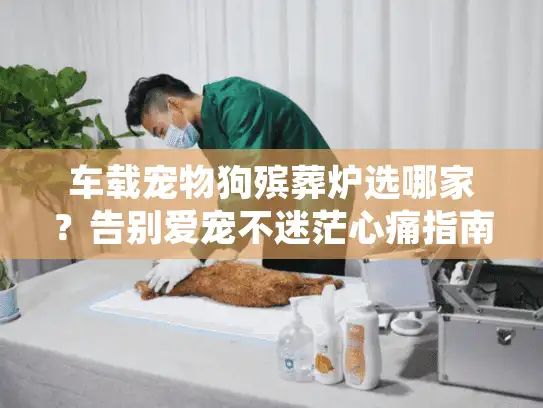 车载宠物狗殡葬炉选哪家？告别爱宠不迷茫心痛指南