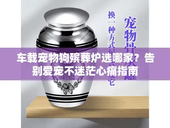 车载宠物狗殡葬炉选哪家？告别爱宠不迷茫心痛指南