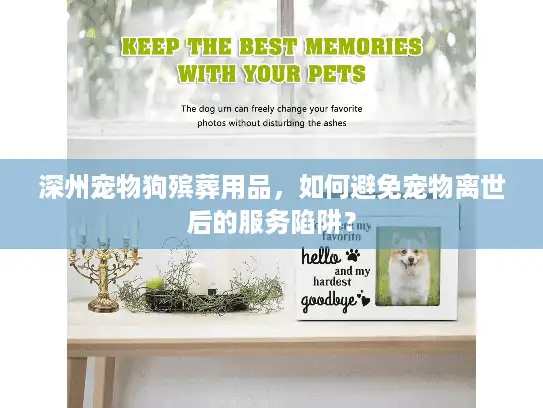 深州宠物狗殡葬用品，如何避免宠物离世后的服务陷阱？