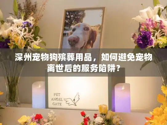 深州宠物狗殡葬用品，如何避免宠物离世后的服务陷阱？